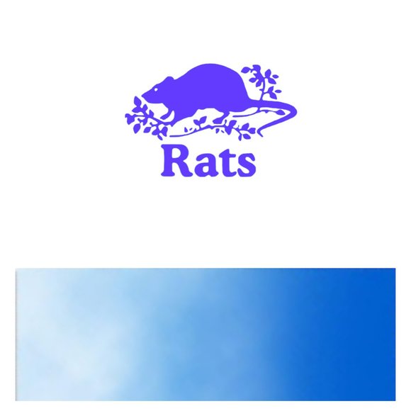 Rats- Funny Rats Vinyl Decals Car, Laptop, Windows, Phone Case Sticker - Picture 10 of 14
